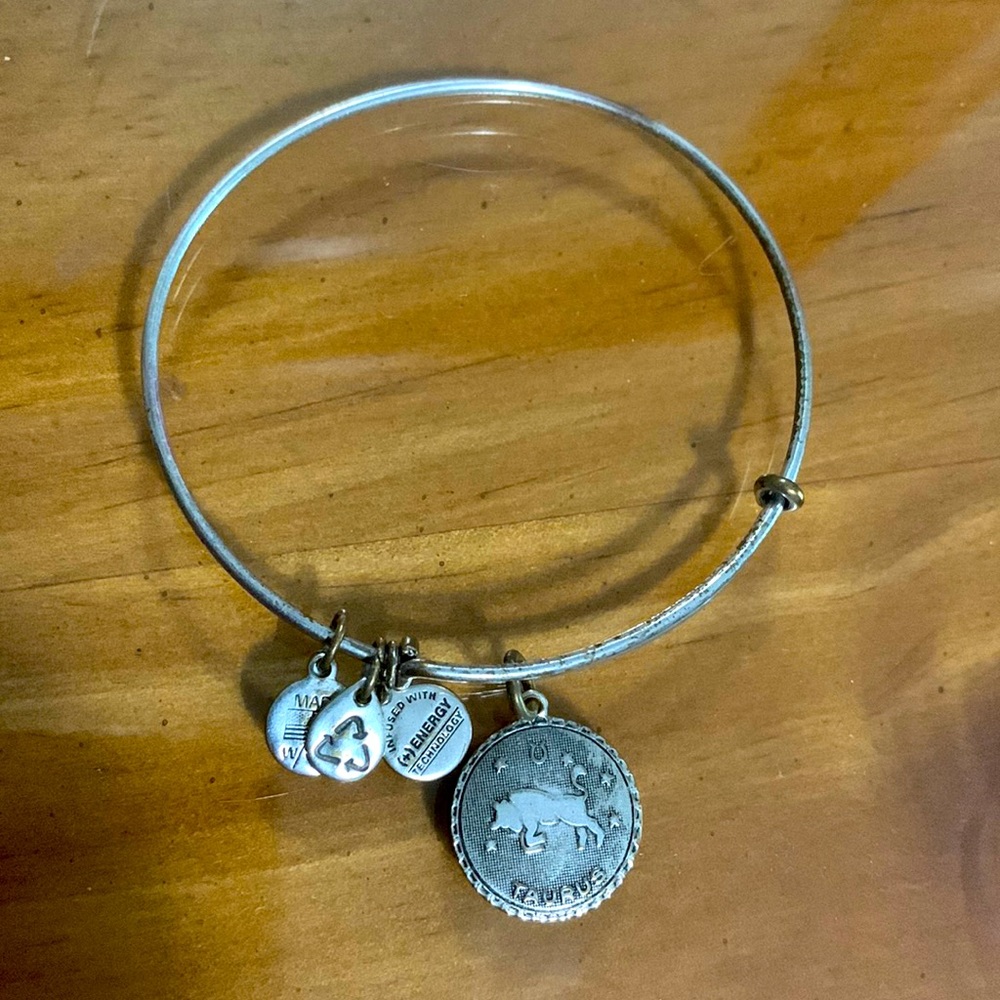 Alex and Ani Taurus